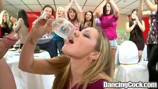 Dancingcock Veliki Kurac Proslava